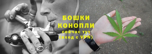 бошки Дмитров
