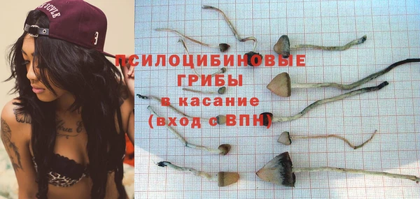 скорость Дмитриев
