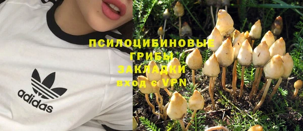 бошки Дмитров