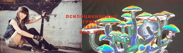 бошки Дмитров
