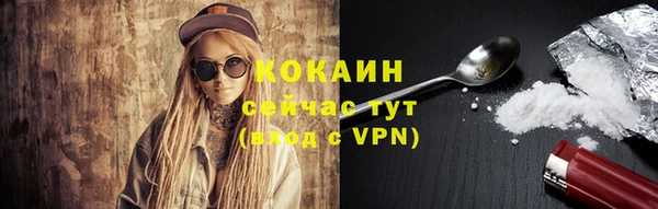 бошки Дмитров